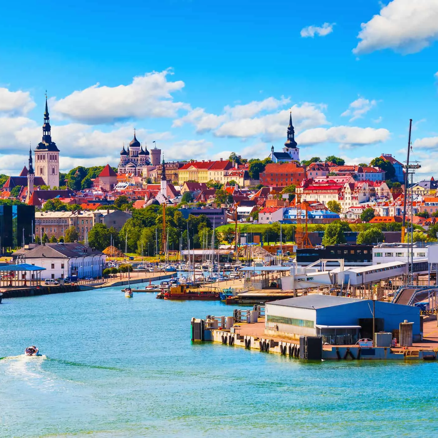 Tallinna Linn